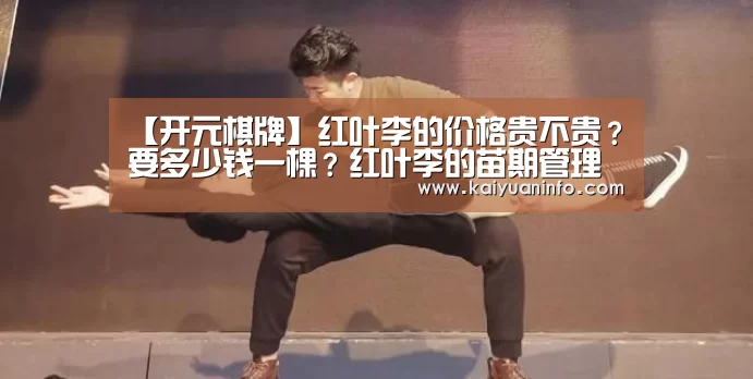 开元平台