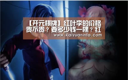 开元赛事