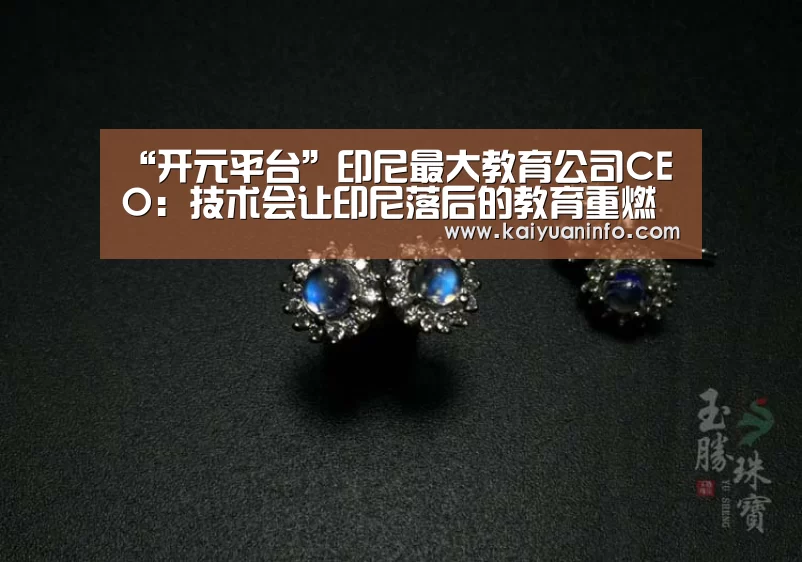 “开元平台”印尼最大教育公司CEO:技术会让印尼落后的教育重燃希望|全球AI+智适应教育峰会(图1) 开元电竞