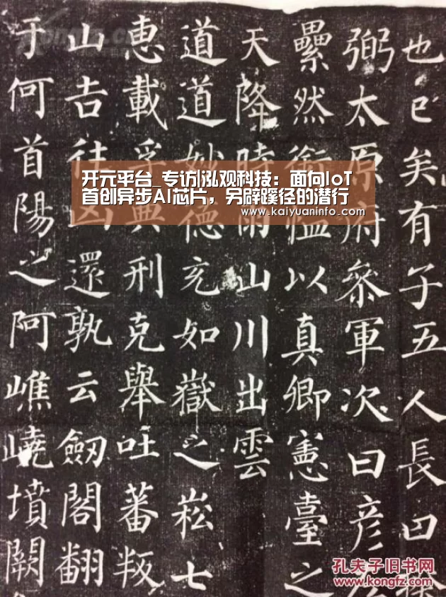开元平台_专访|泓观科技:面向IoT首创异步AI芯片,另辟蹊径的潜行者重装上阵(图4) 开元电竞