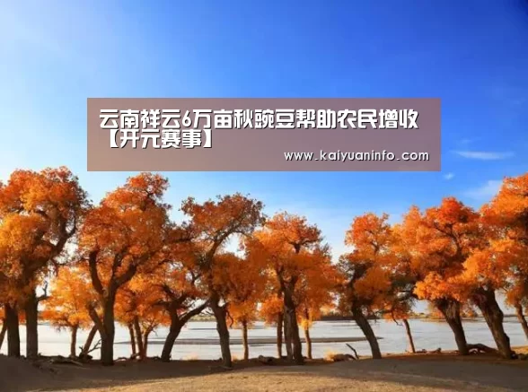 云南祥云6万亩秋豌豆帮助农民增收【开元赛事】(图1) 开元赛事