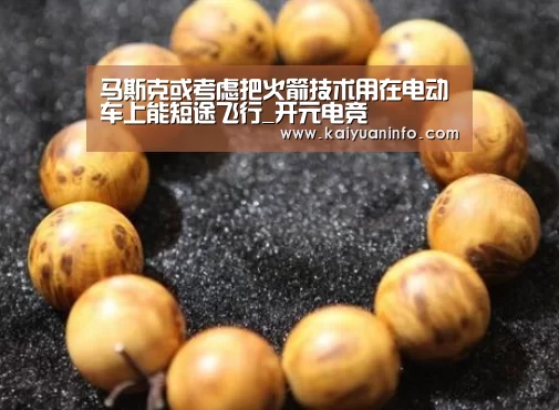 马斯克或考虑把火箭技术用在电动车上能短途飞行_开元电竞(图2) 开元赛事