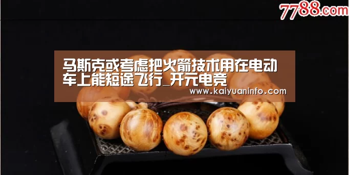 马斯克或考虑把火箭技术用在电动车上能短途飞行_开元电竞(图4) 开元电竞