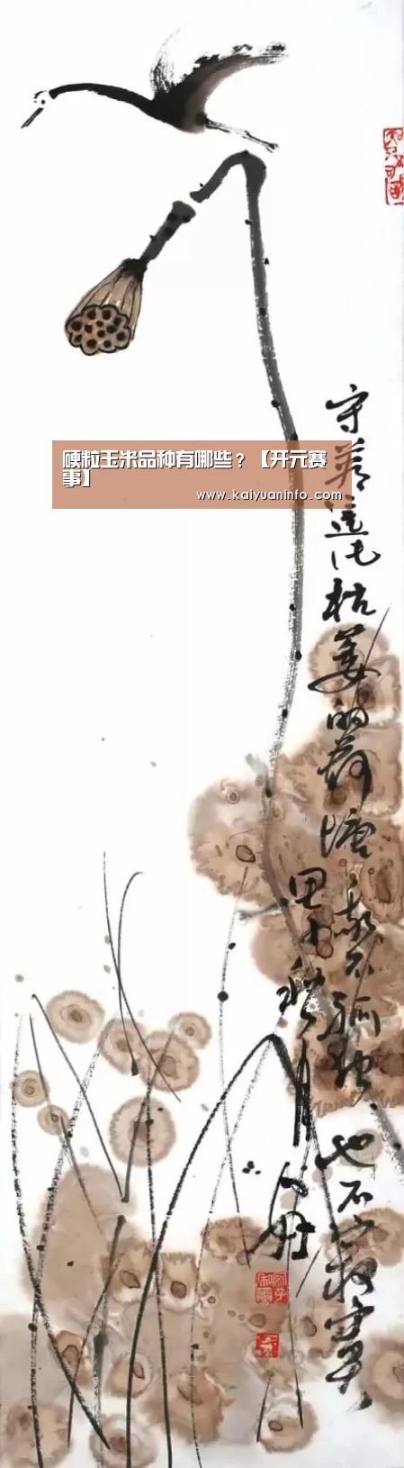 开元电竞