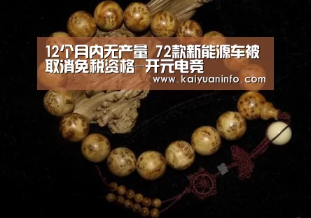 12个月内无产量 72款新能源车被取消免税资格-开元电竞(图1) 开元赛事