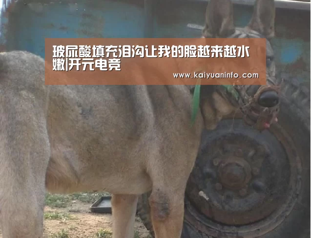 玻尿酸填充泪沟让我的脸越来越水嫩|开元电